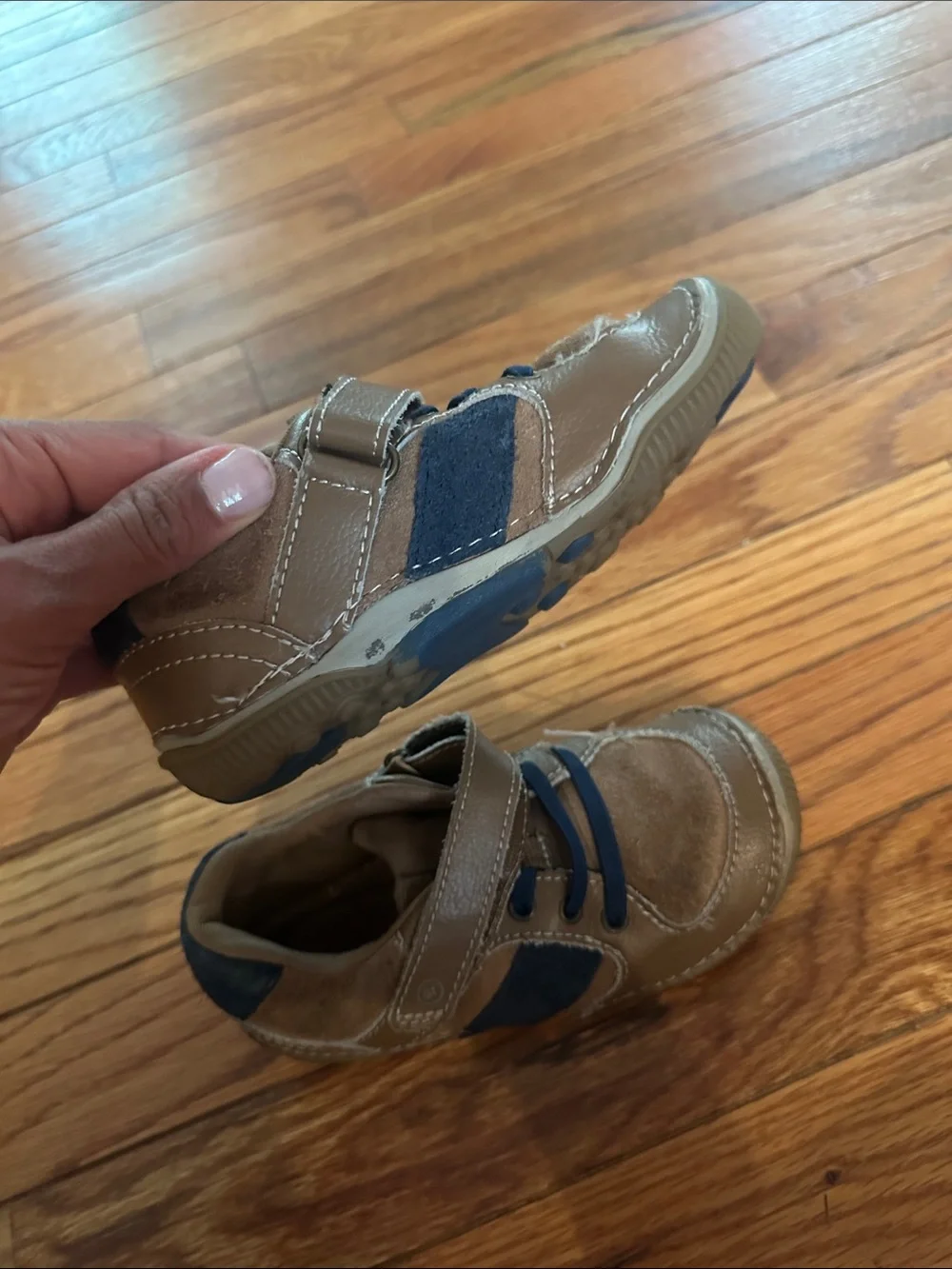 Stride Rite Brown and Navy Hook-and-Loop Sneakers